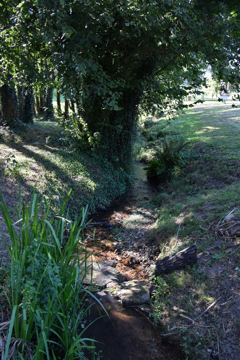 Aire de pique-nique de Jaure - photo 3