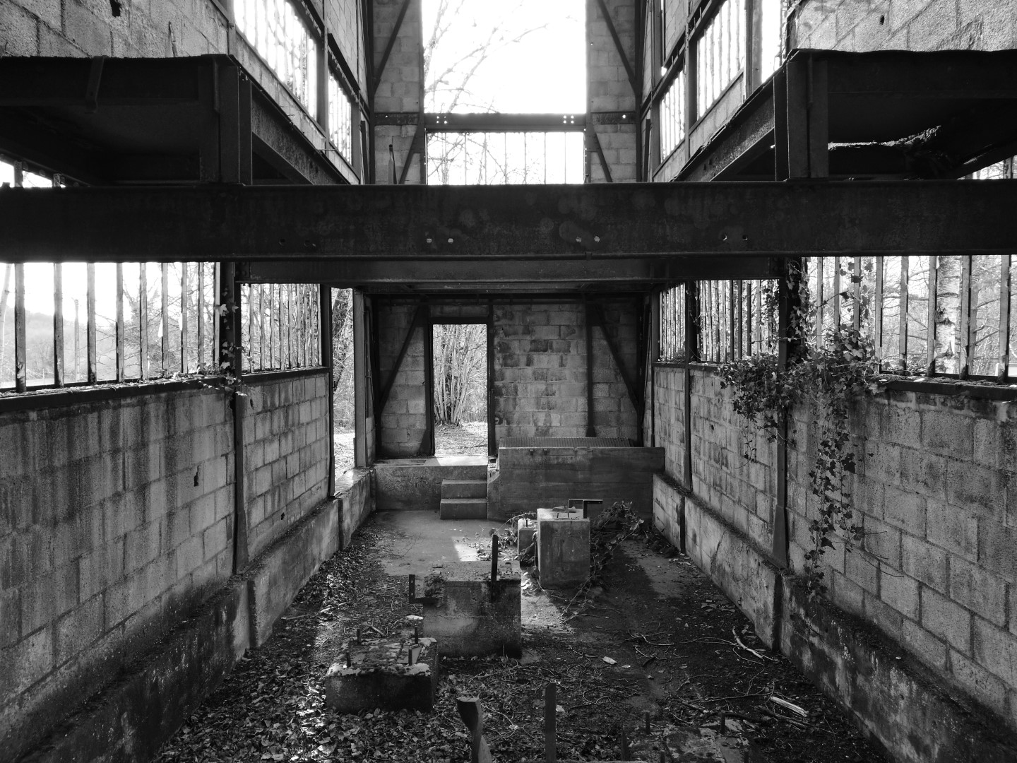 Circuit Pédestre N° 46 : "Les chemins de la Mine : boucle 2 km", Bosmoreau-les-Mines - photo 2