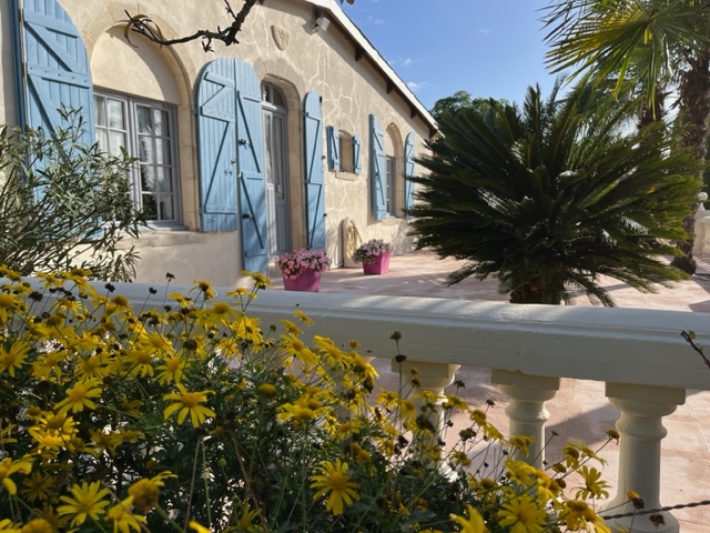 Le Moulin en Médoc, Saint-Yzans-de-Médoc - photo 11