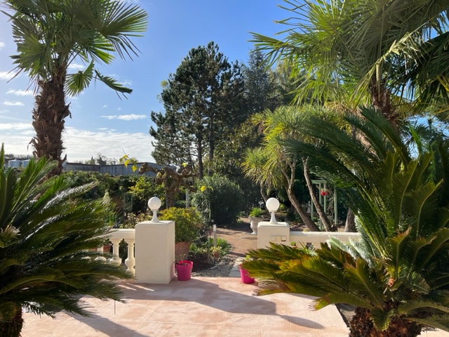 Le Moulin en Médoc, Saint-Yzans-de-Médoc - photo 15