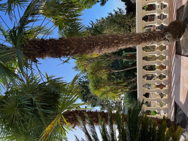 Le Moulin en Médoc, Saint-Yzans-de-Médoc - photo 16