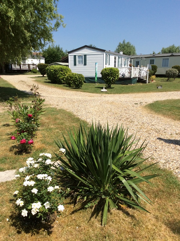 Camping du Parc Saint-Vincent, Lévignac-de-Guyenne - photo 14