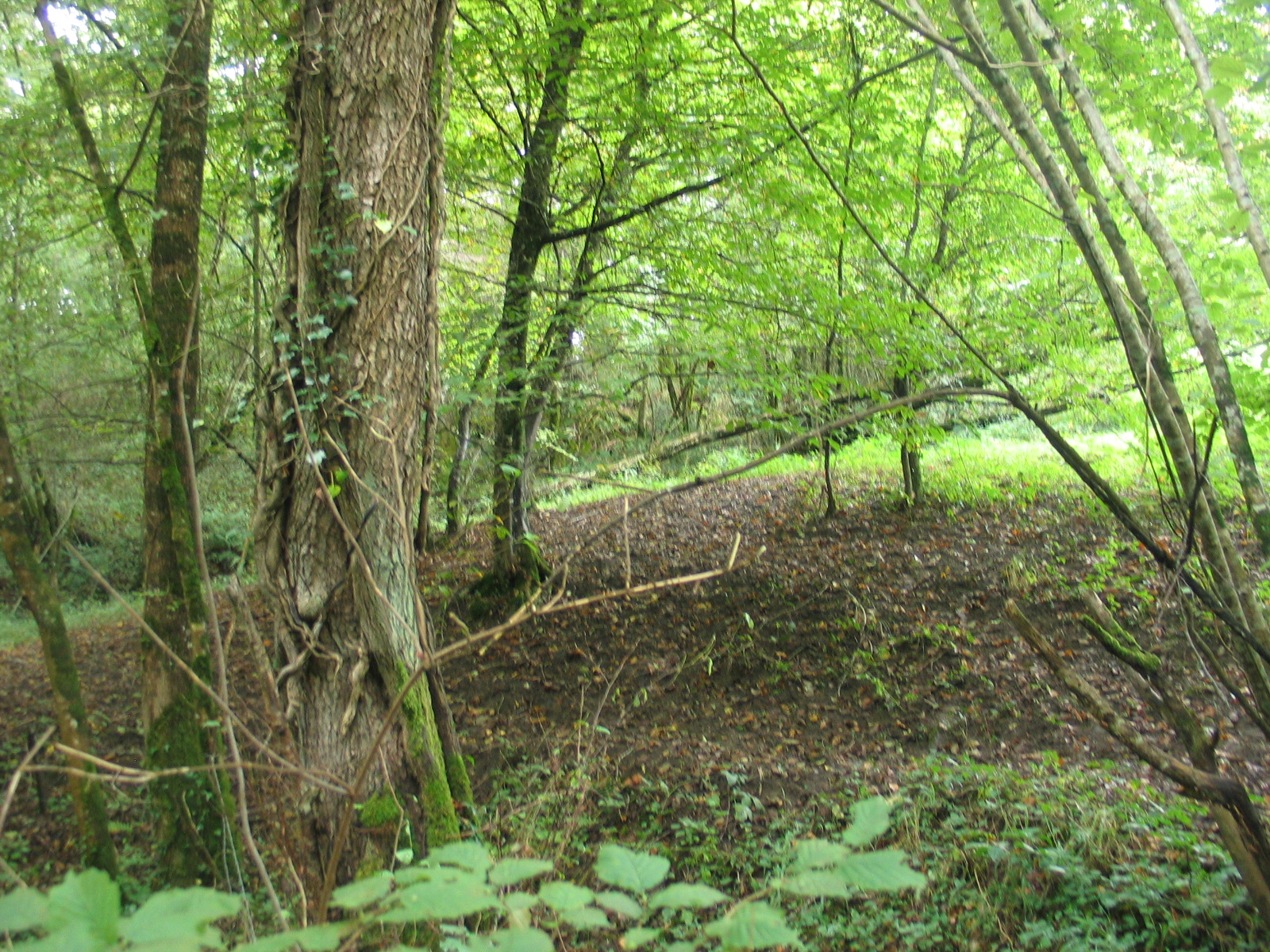 Autour du Tilleul, Saint-Victurnien - photo 4