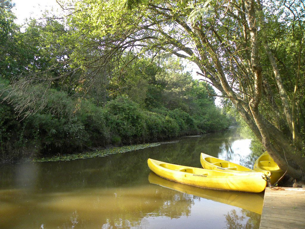 Camping Municipal les Pins Bleus, Labenne - photo 6