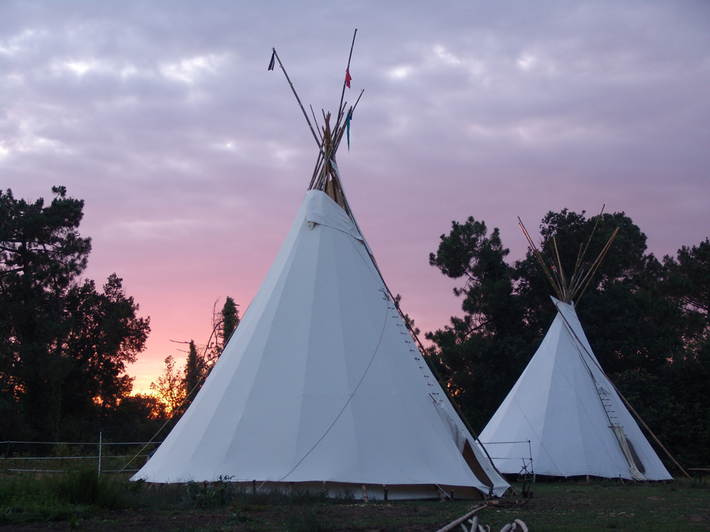 Poun's Nature & Cie, Bretagne-de-Marsan - photo 11