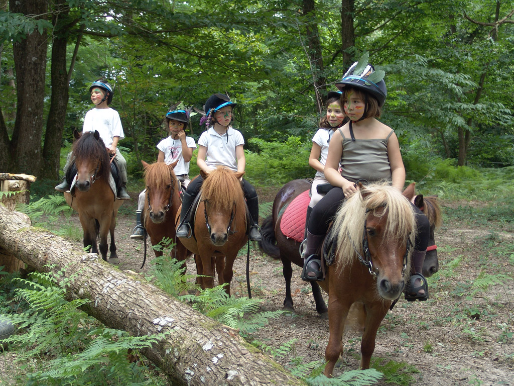 Poun's Nature & Cie, Bretagne-de-Marsan - photo 9