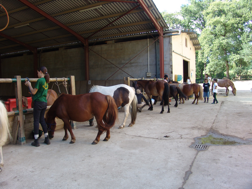 Poun's Nature & Cie, Bretagne-de-Marsan - photo 6