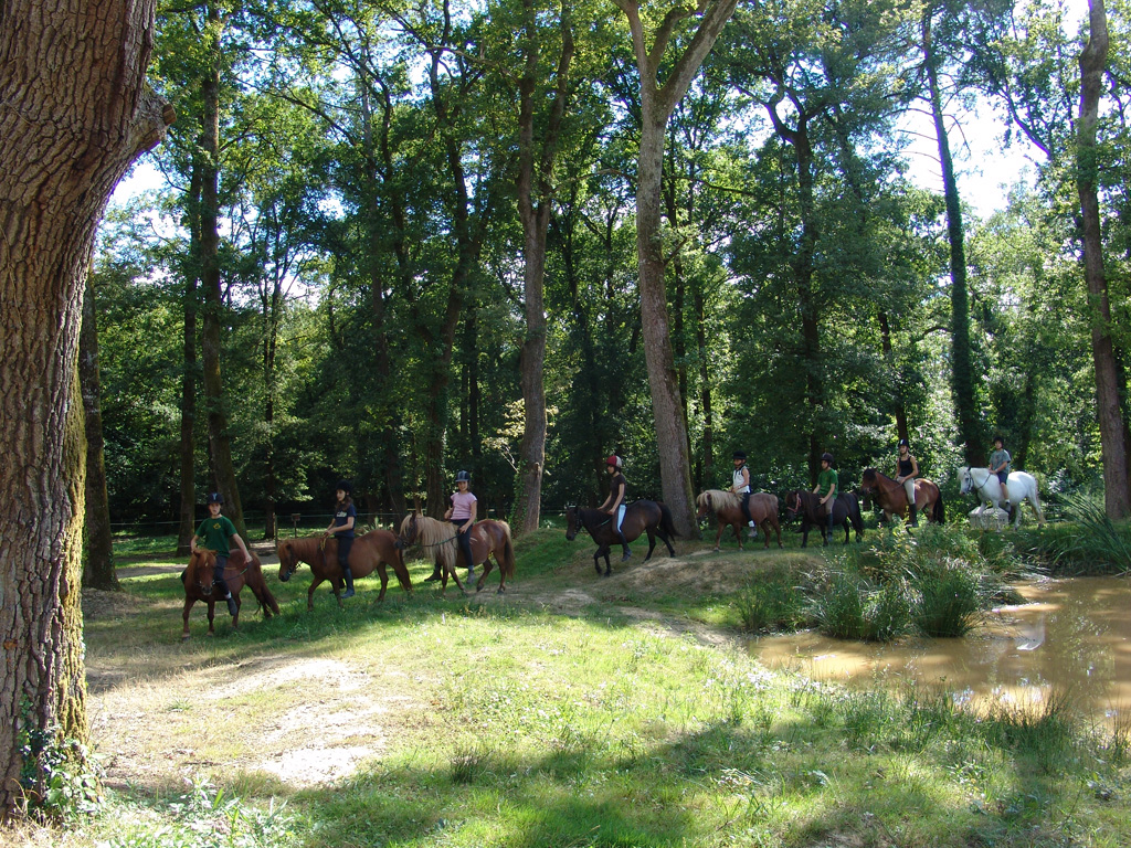 Poun's Nature & Cie, Bretagne-de-Marsan - photo 8
