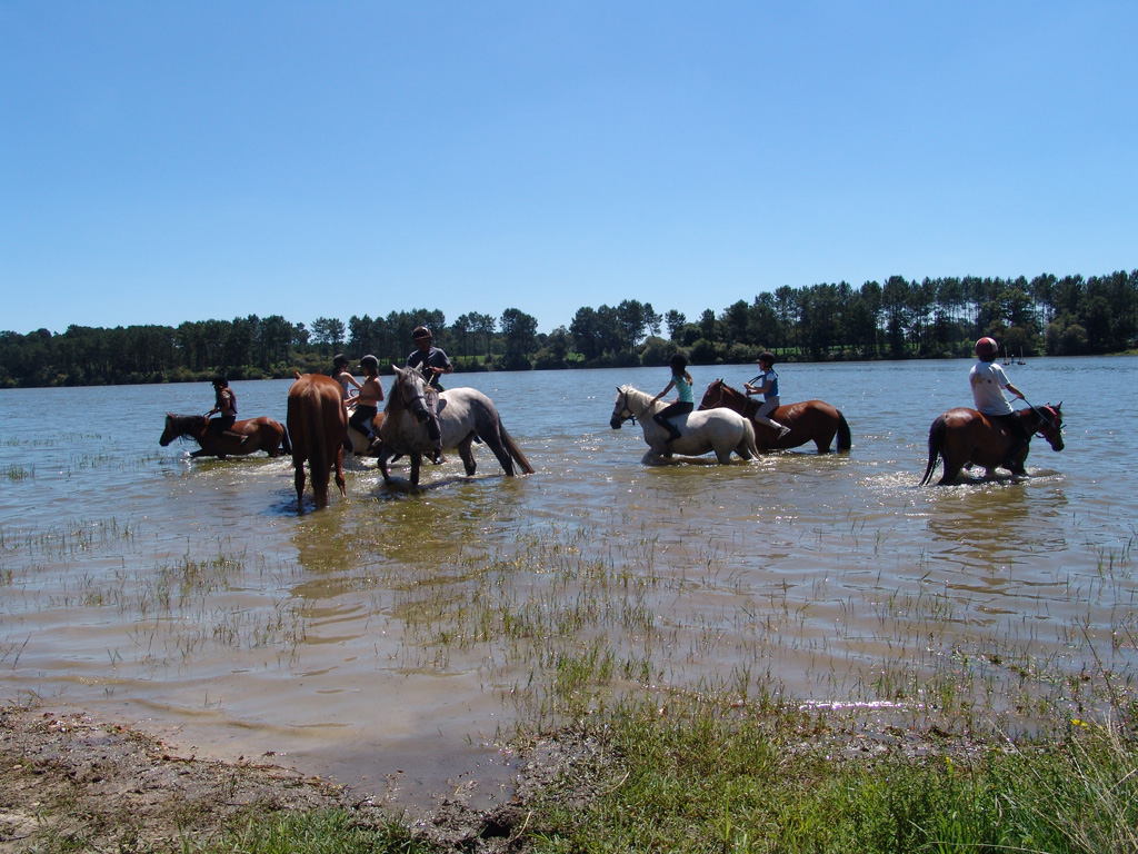 Poun's Nature & Cie, Bretagne-de-Marsan - photo 5