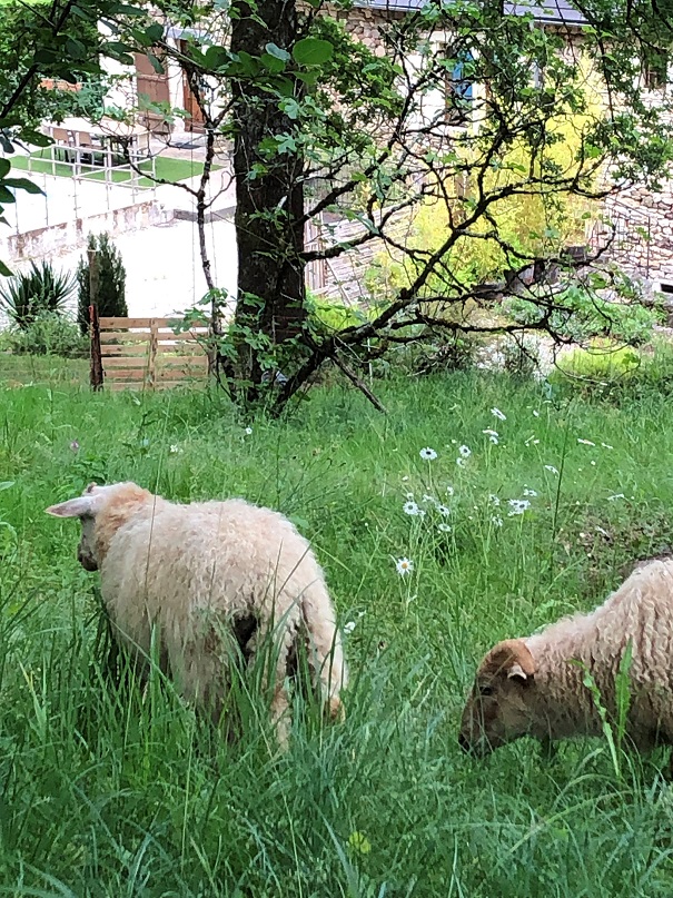 Le Relais de la Diligence, Le Lardin-Saint-Lazare - photo 3