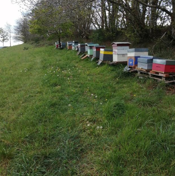 Le rucher Saint Antoine - photo 2