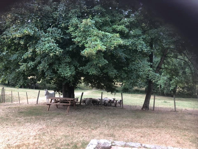 Le Séchoir de Braguèze, Roumagne - photo 30