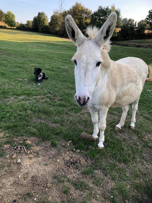 Le Séchoir de Braguèze, Roumagne - photo 12