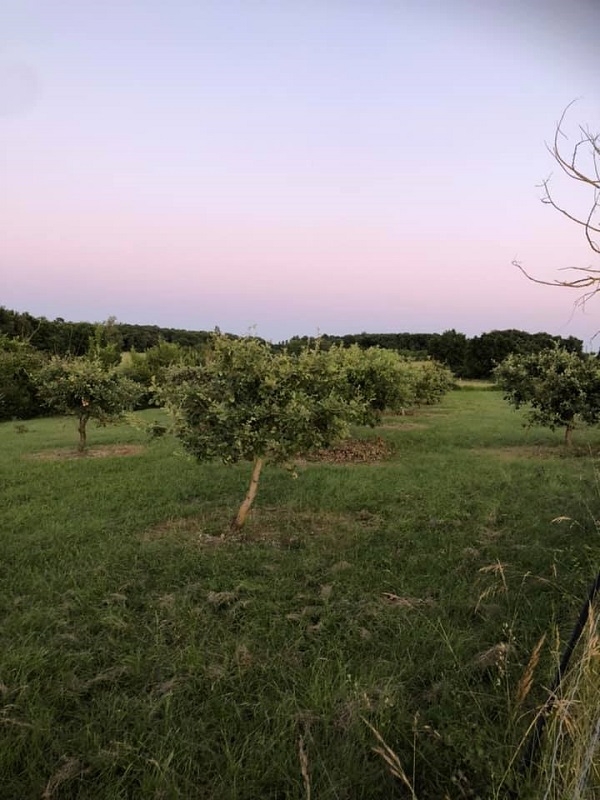 Le Séchoir de Braguèze, Roumagne - photo 38