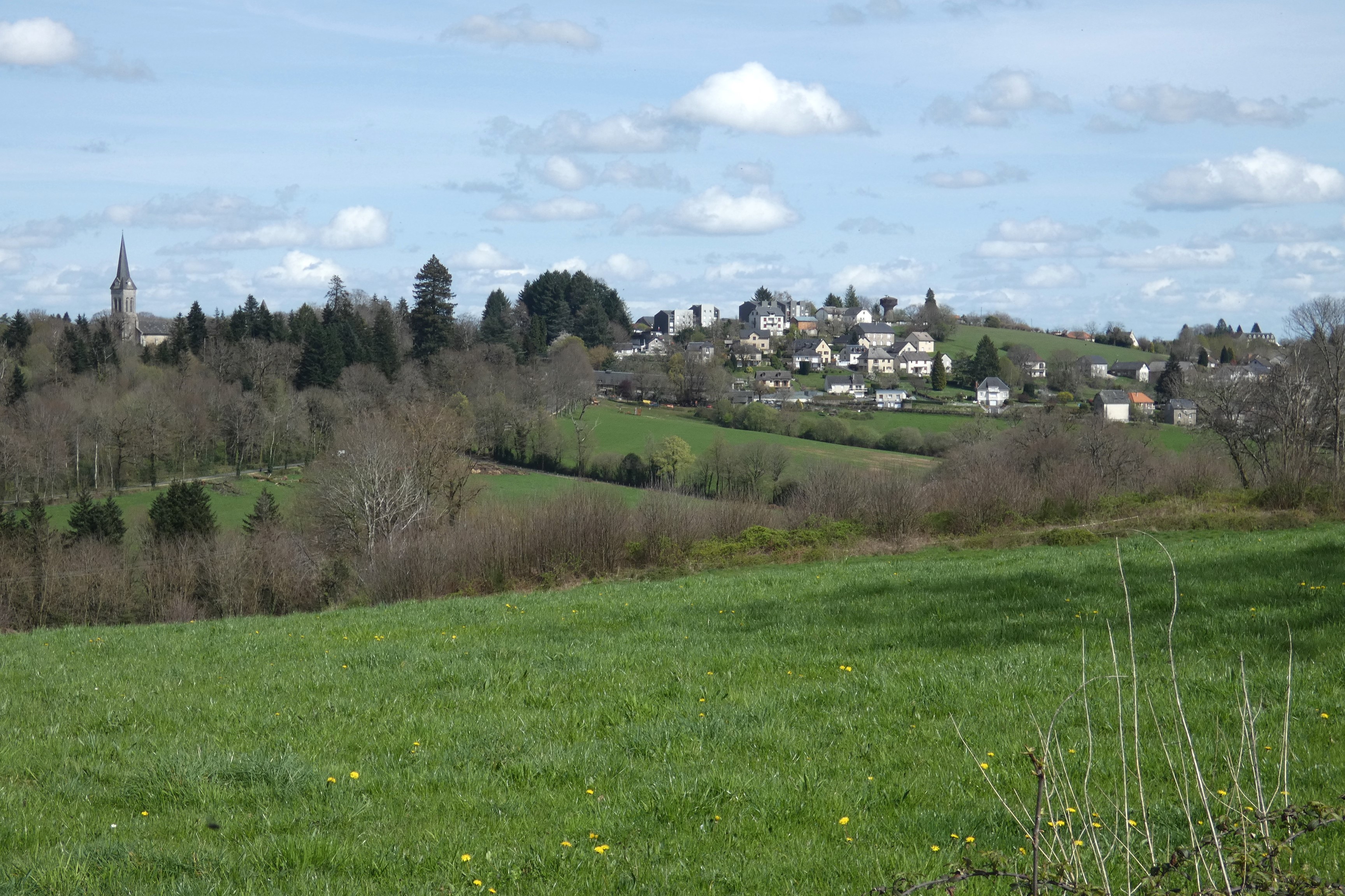 Trefle des étangs, Seilhac - photo 4