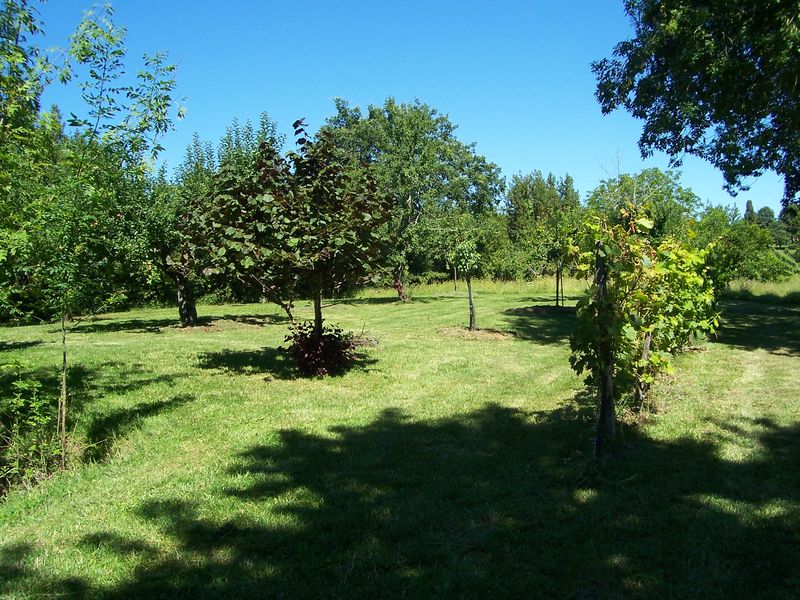 Château Laroque, Saint-Antoine-de-Breuilh - photo 6