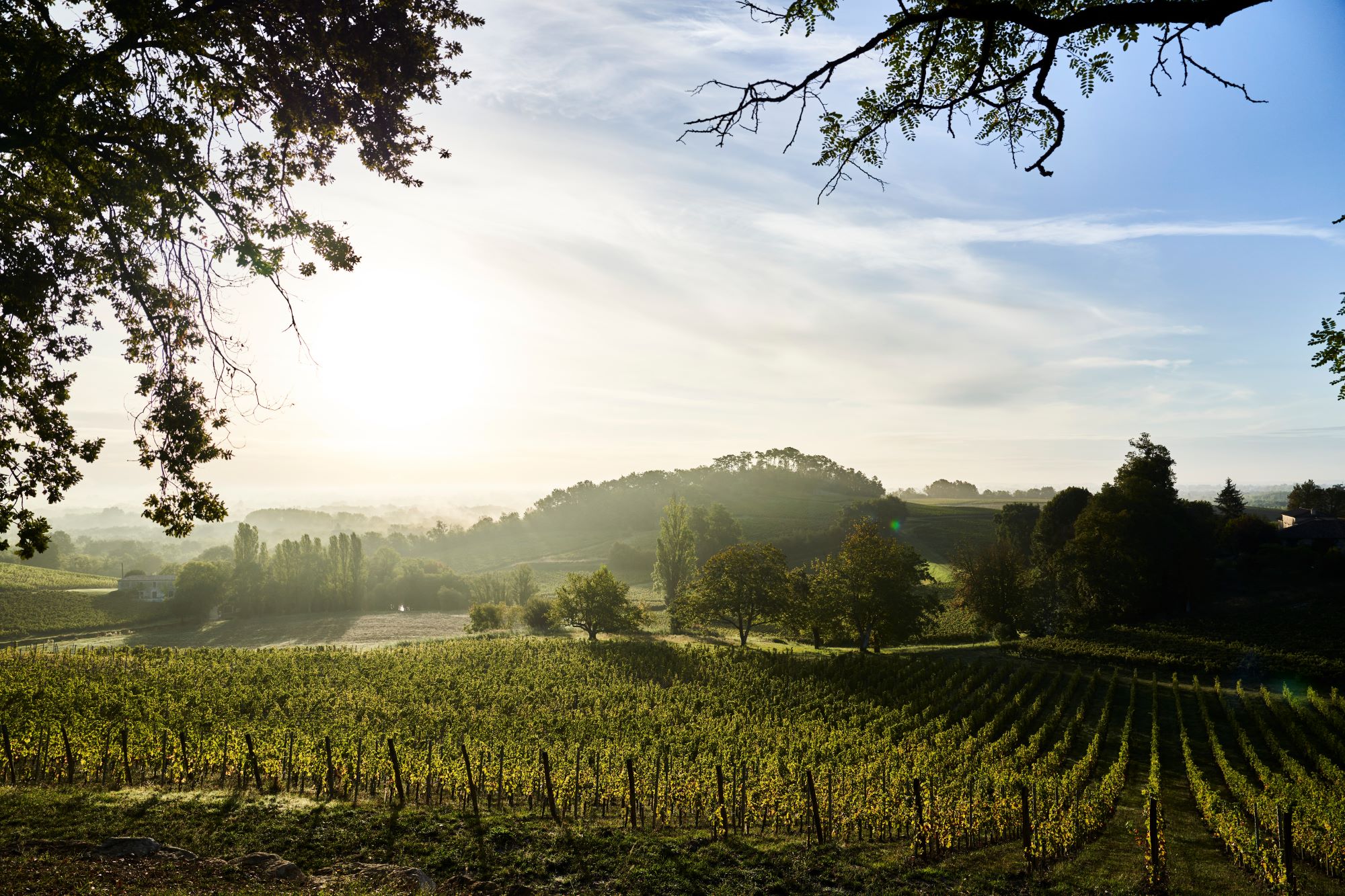 Château Plain Point - photo 2