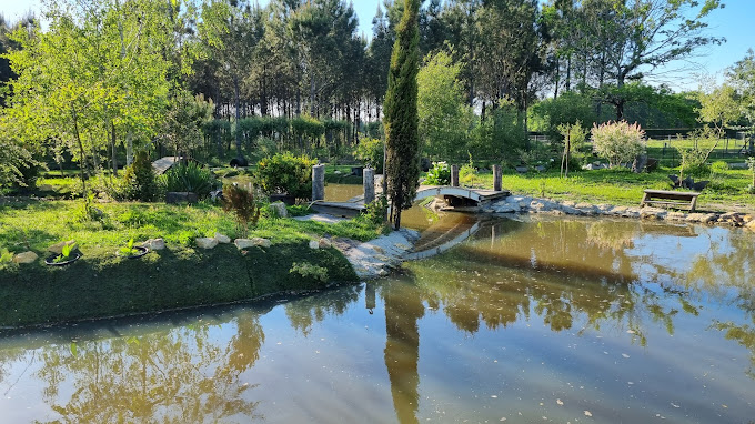 Aire naturelle de camping Le Bonheur est dans le Pré - photo 3