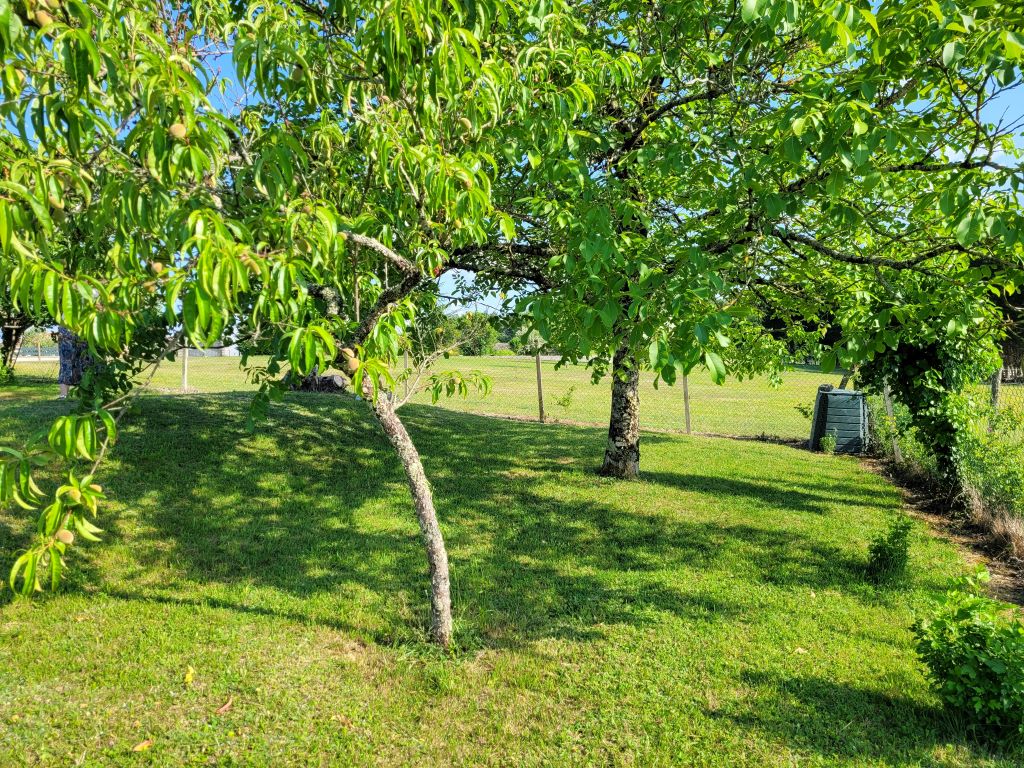 Le chalet des bois, Vallereuil - photo 5