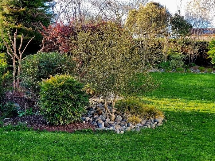 Jardin de LMG - Rendez-vous aux jardins