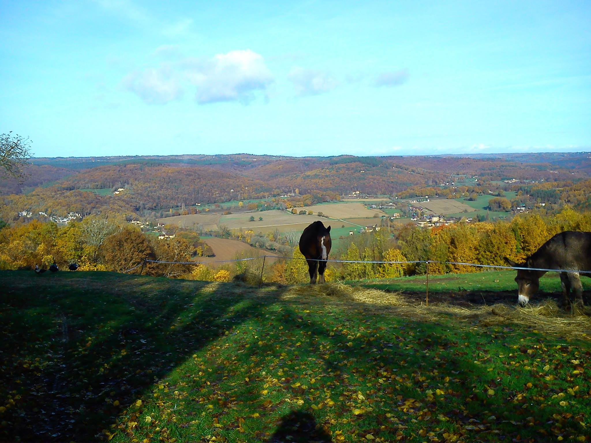 Camping La Ferme du Pelou - photo 3