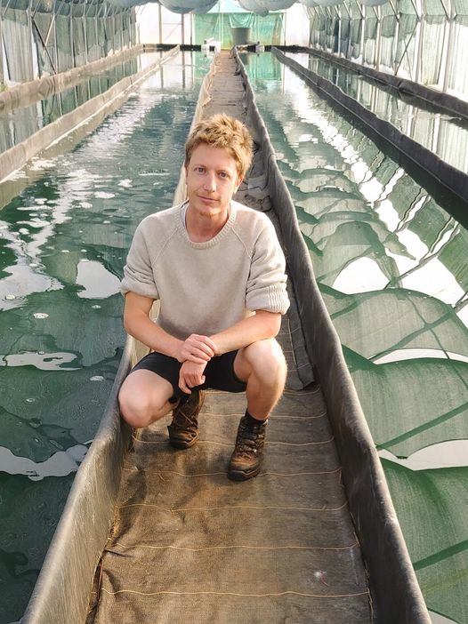 Le Petit Spirulinier