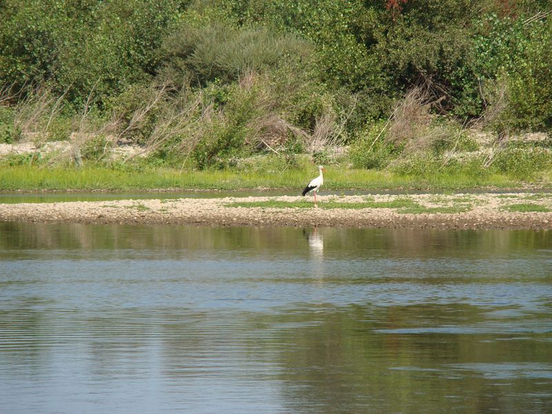 Le Lot, Granges-sur-Lot - photo 3