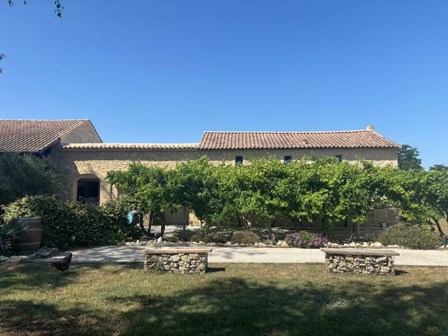 Les chais du fourneau - le roof top, Saint-Christoly-Médoc - photo 5