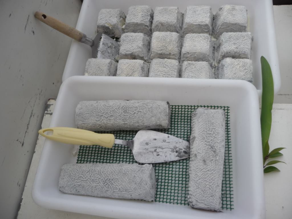 Les chèvres du Prince - photo 5