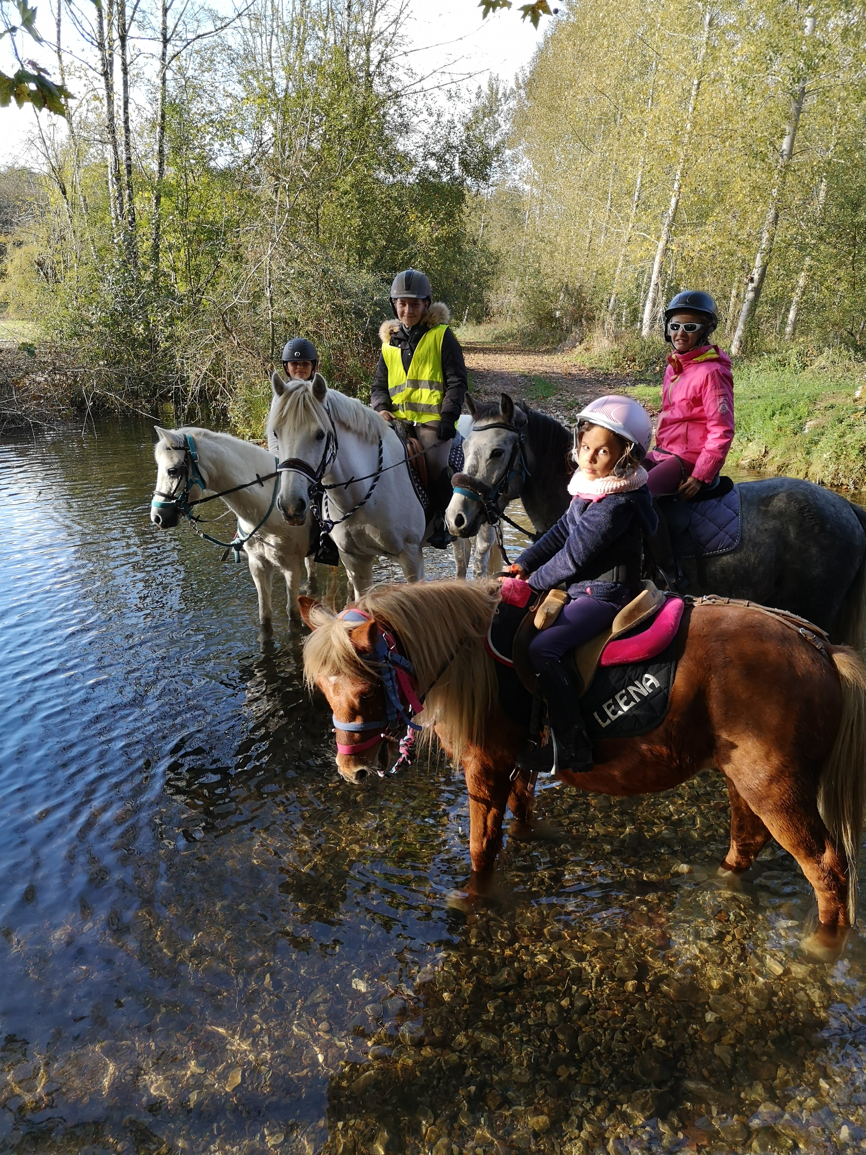 Les Écuries du Moulin de Chaume - photo 2