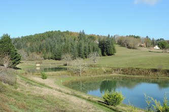 "Le Jardin des Paons" Béatrice et Roland BARGOZZA, Issac - photo 4