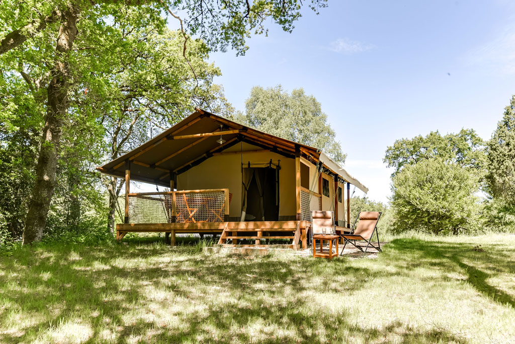 Domaine de Taysse, Espagnac - photo 17