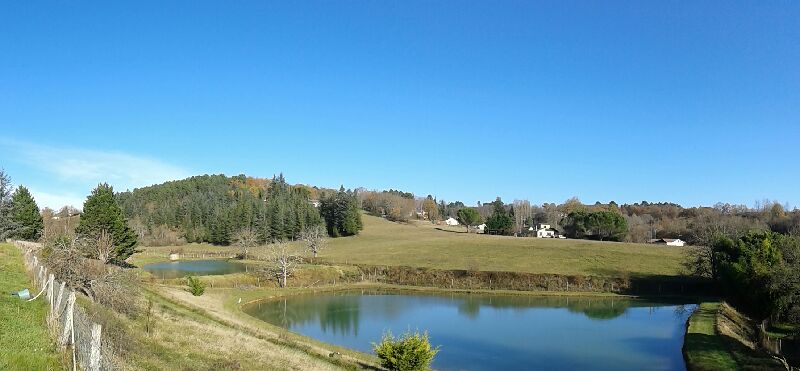 "Le Jardin des Paons" Béatrice et Roland BARGOZZA, Issac - photo 5