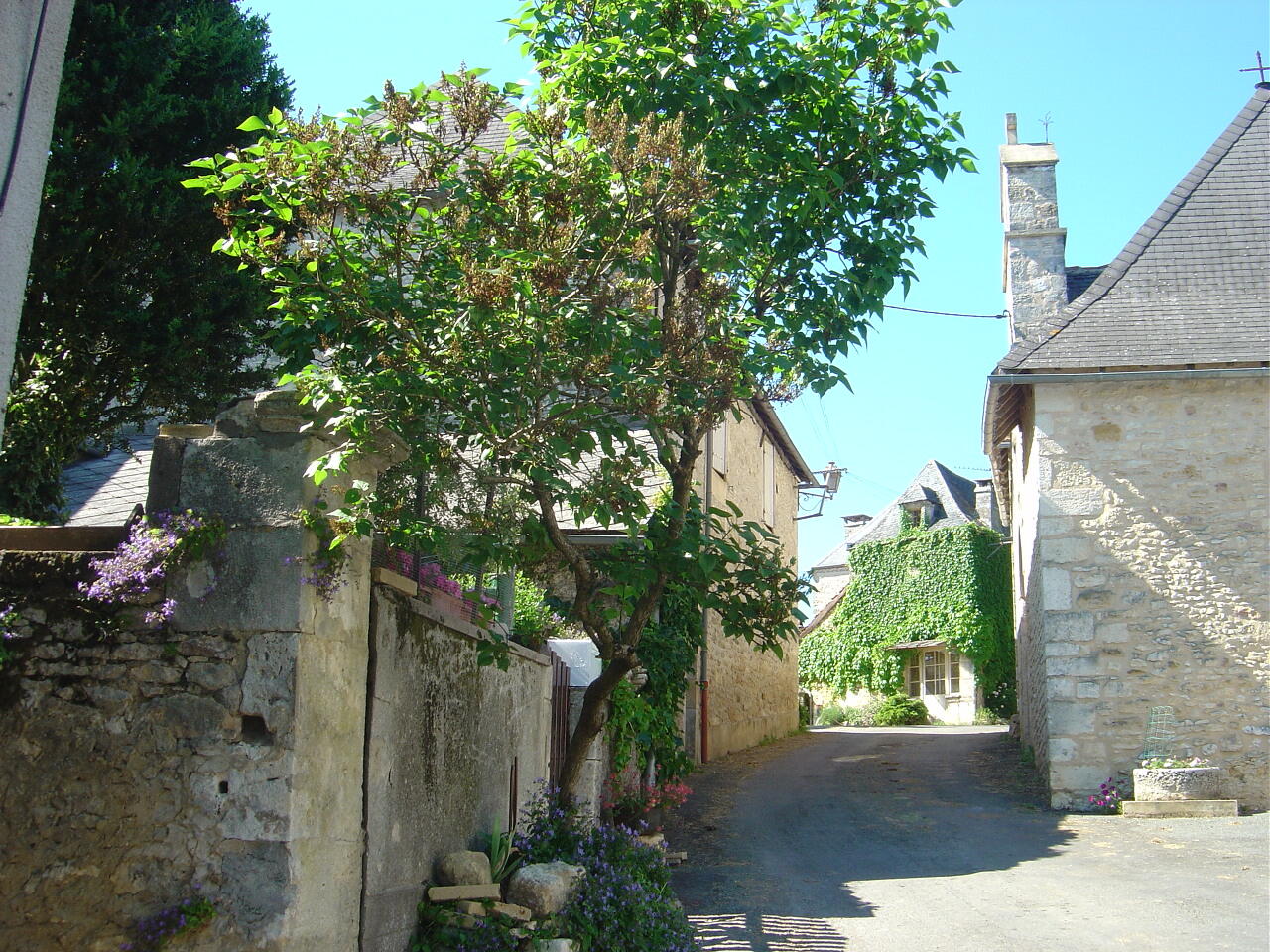 Boucle des Balcons du Nord n°21/Les Farges, Les Farges - photo 3