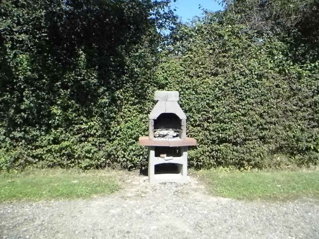 Les Jonquilles n° 1 et n°2 - photo 3