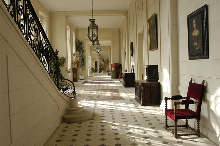 Château des Ormes, Les Ormes - photo 7