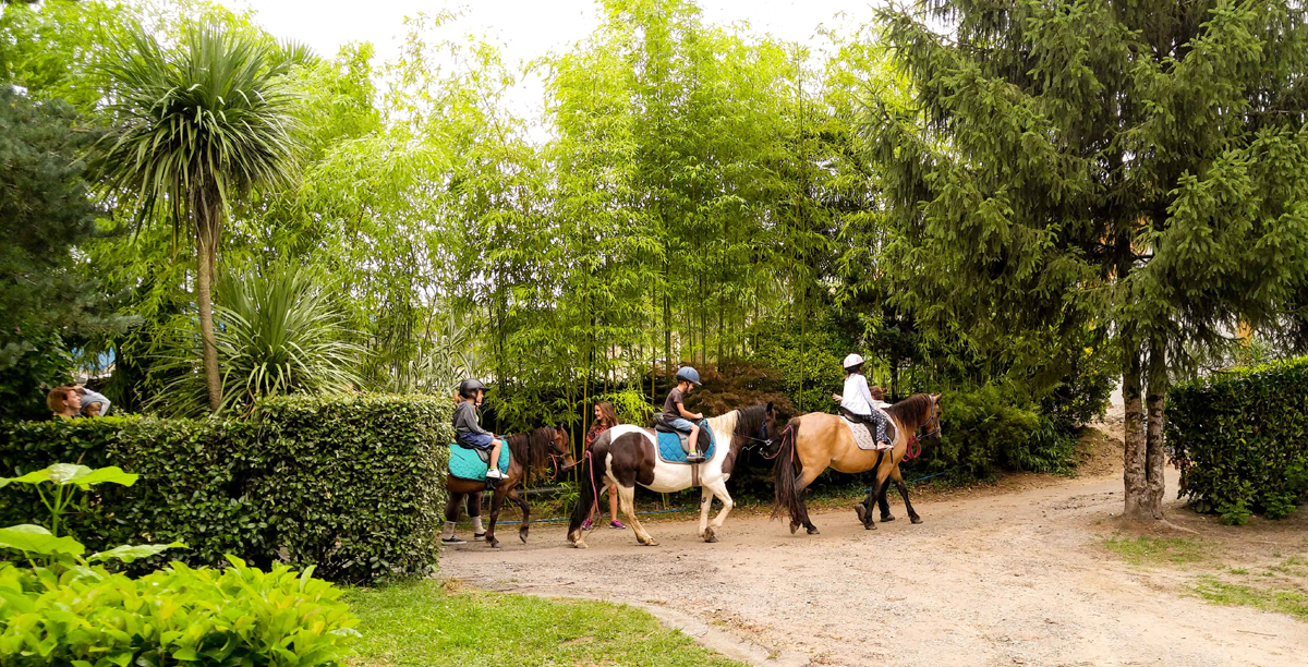 Camping Les Platanes, Saint-Geours-de-Maremne - photo 5