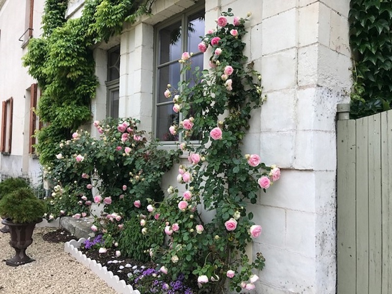 Le Clos des Glycines, Lésigny - photo 8