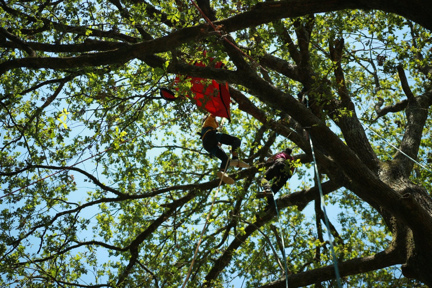 Association Les Tas de Nature - photo 2