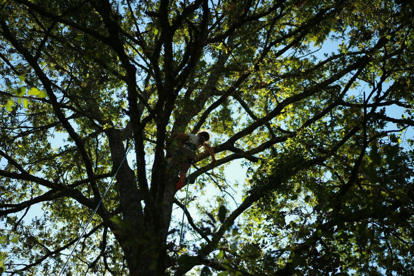 Association Les Tas de Nature - photo 4