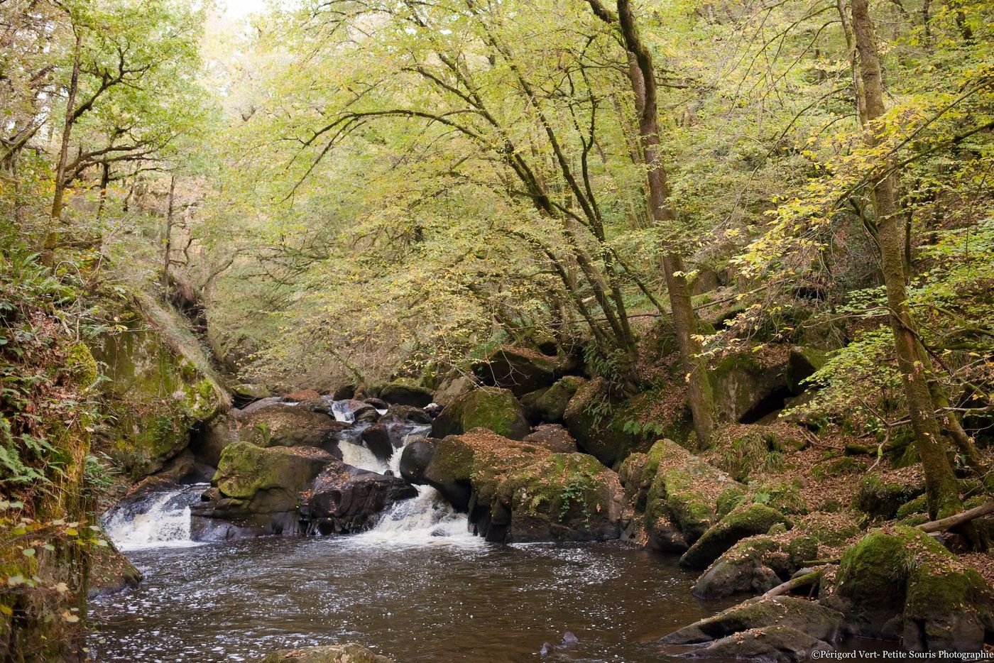 La Grande Boucle du Parc: Etape 1 : De Saint Pierre de Frugie à Saint Saud Lacoussiere, La Coquille