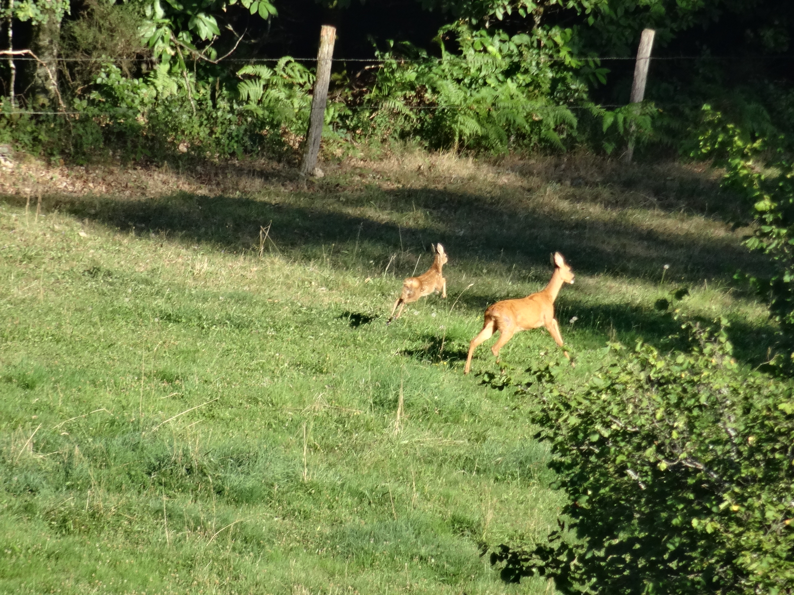 Les Chaumières de Brameix, Neuvic - photo 3