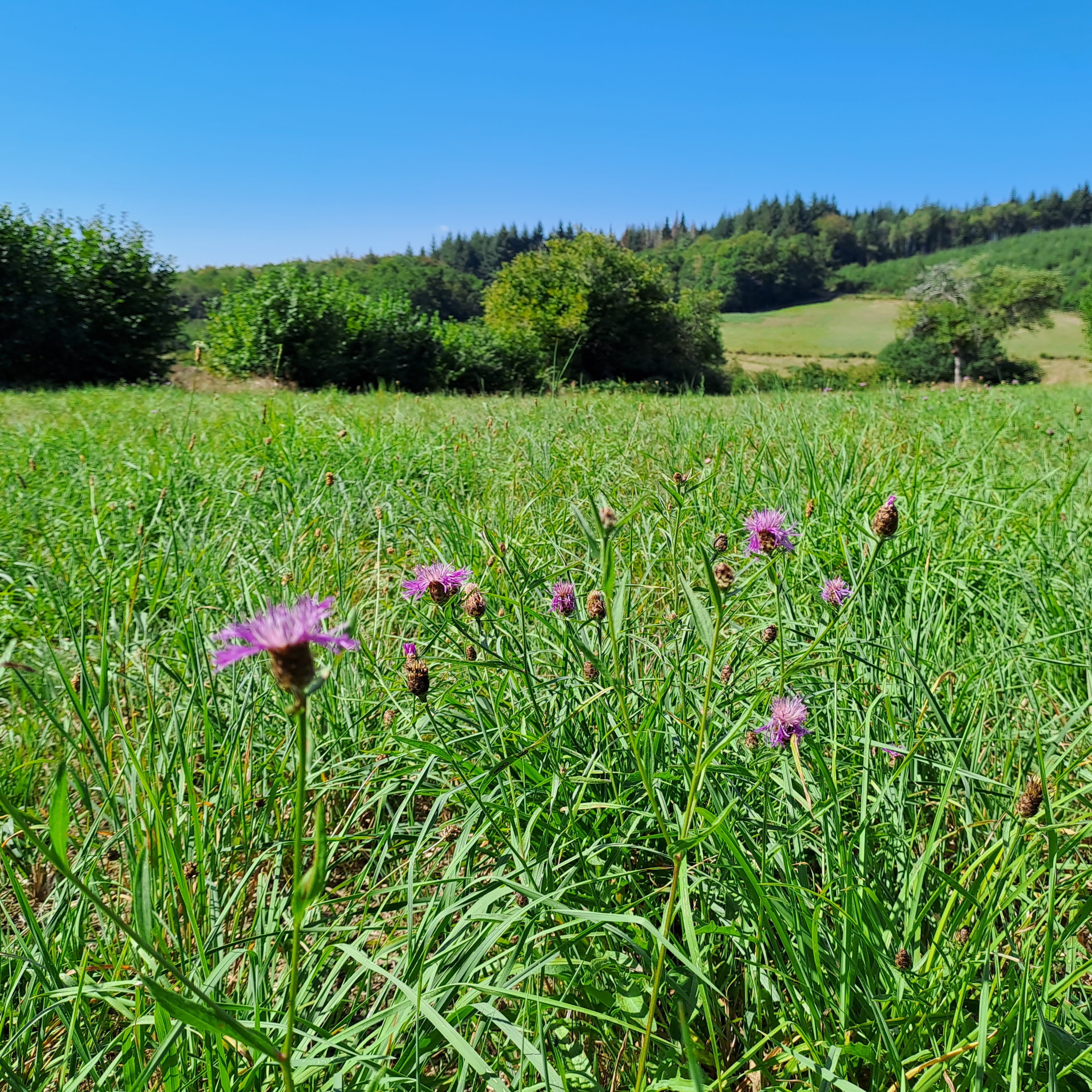 Les Chaumières de Brameix, Neuvic - photo 13