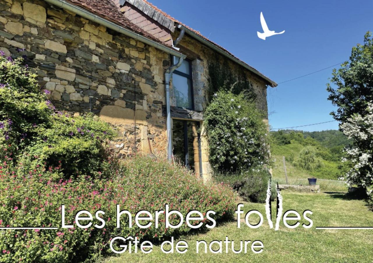Les Herbes Folles