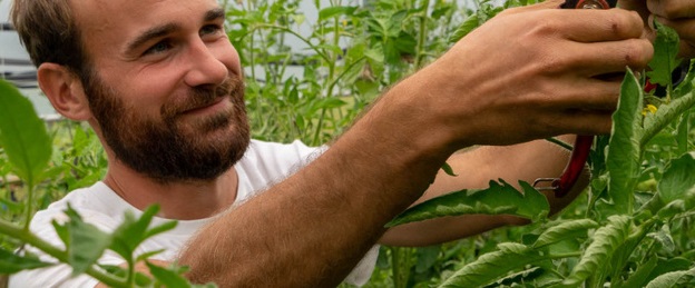 Les Légumes de Rémi — photo 2