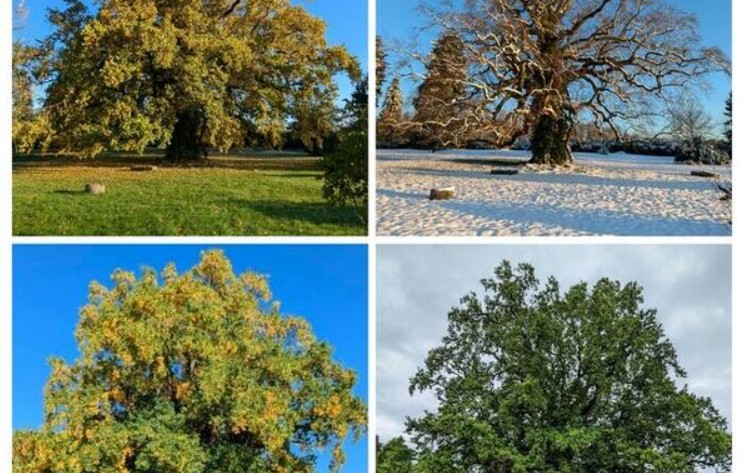 Jardin de Lessines - Rendez-vous aux jardins — visuel événement