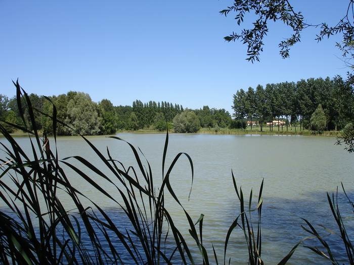 Gîtes Les chaumières, Sauzé-Vaussais - photo 13