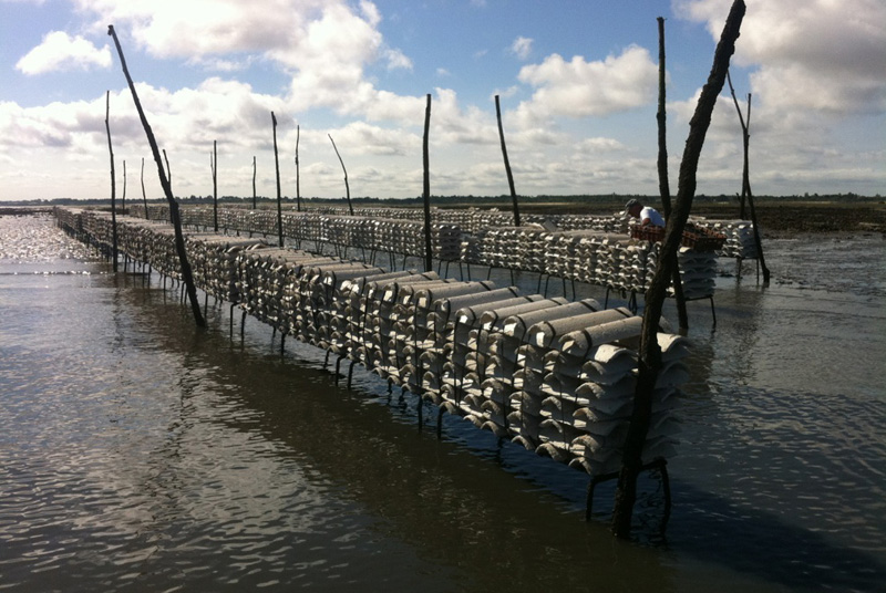 Sortie Pescatourisme