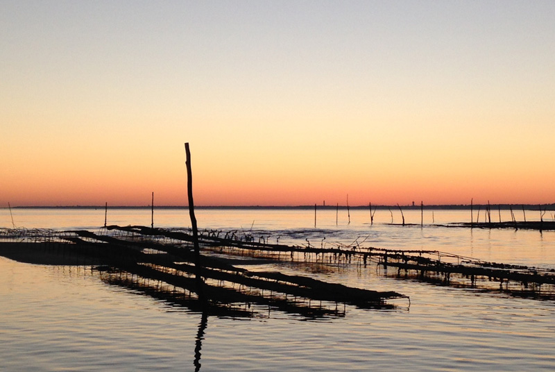Sortie Pescatourisme