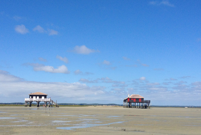 Sortie Pescatourisme
